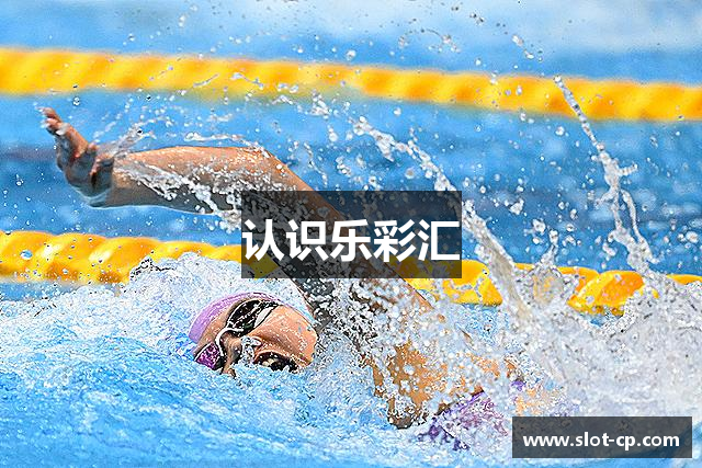 认识乐彩汇