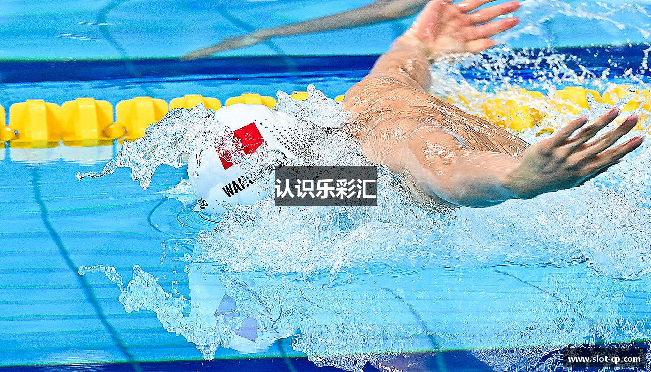认识乐彩汇